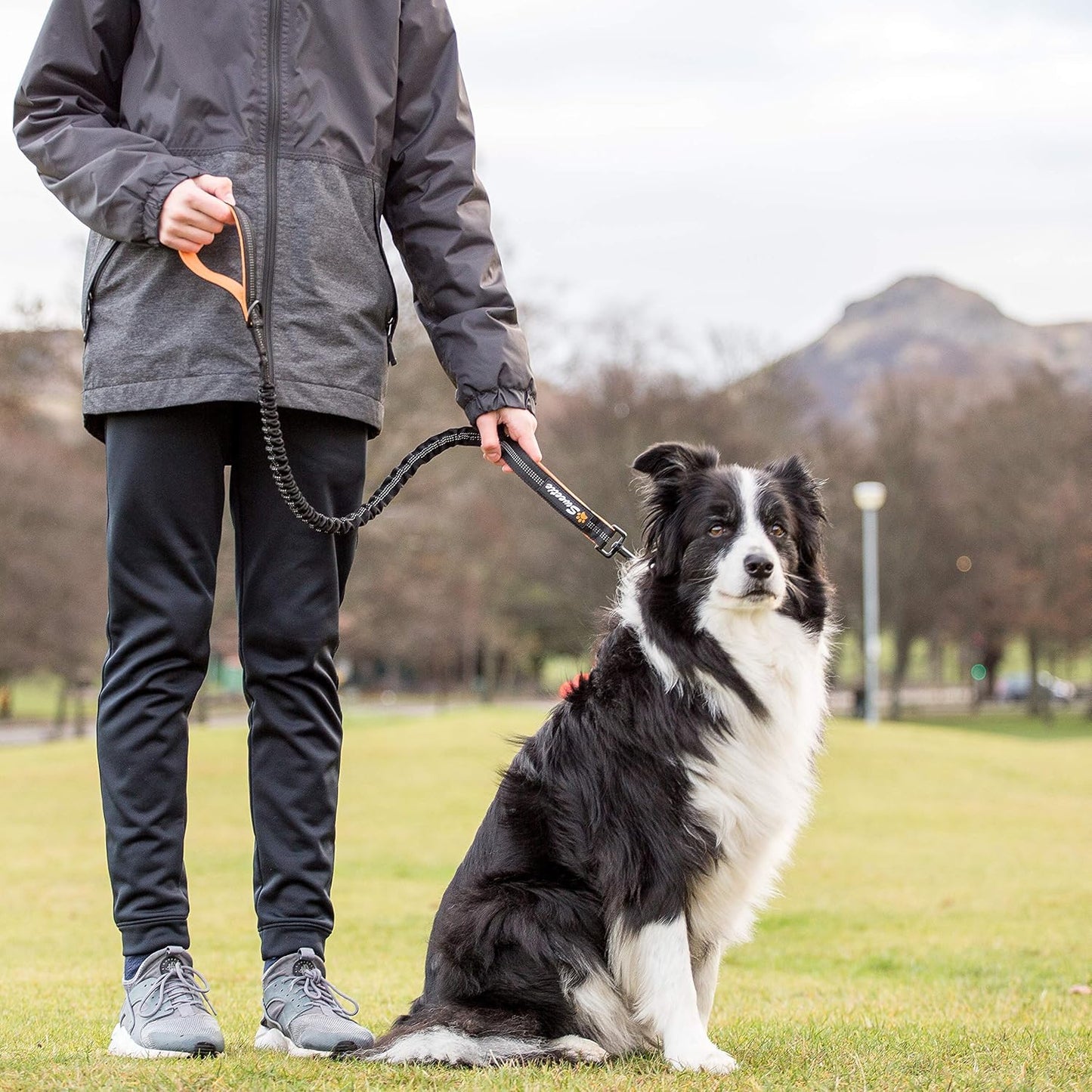 Reflective Shock-Absorbing Dog Lead with Padded Grip for Night Walks