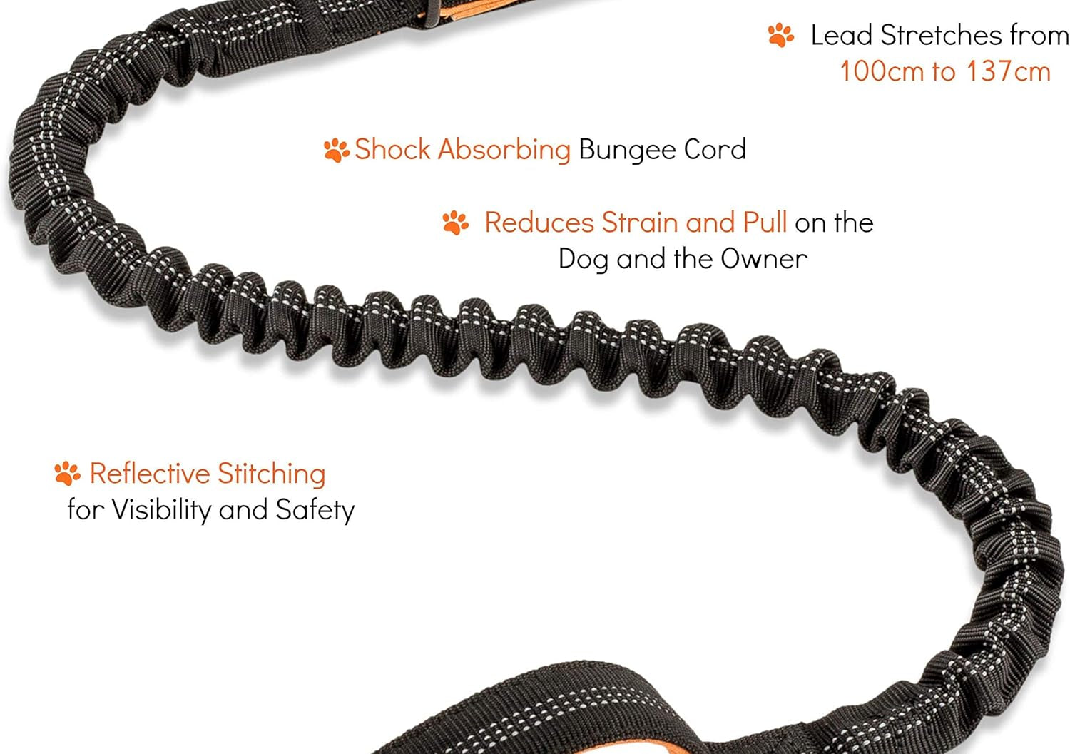 Reflective Shock-Absorbing Dog Lead with Padded Grip for Night Walks