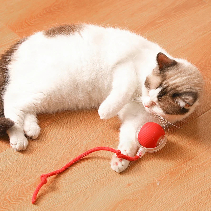 Intelligent Automatic Rolling Cat Toy – USB Rechargeable Ball with Rope and Sound, Home Pet Soothing and Entertainment Supplies