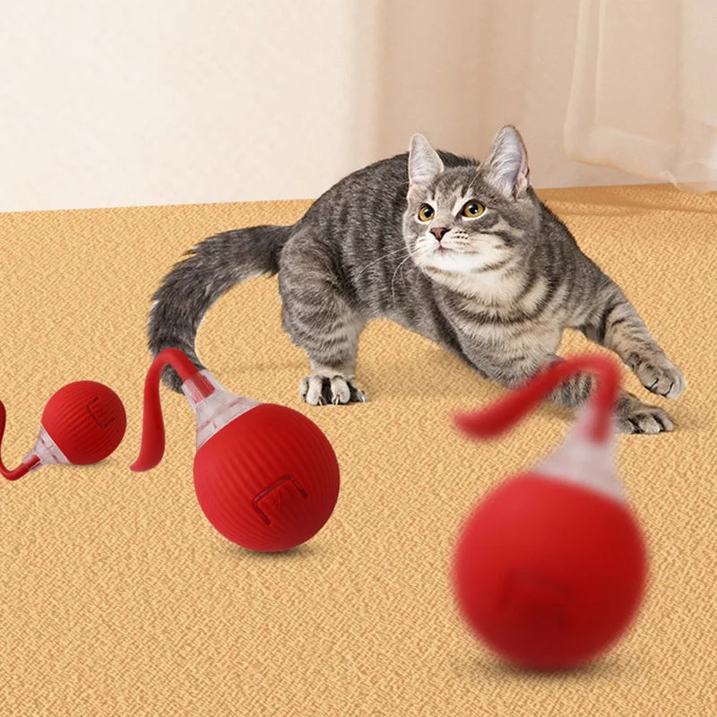 Intelligent Automatic Rolling Cat Toy – USB Rechargeable Ball with Rope and Sound, Home Pet Soothing and Entertainment Supplies